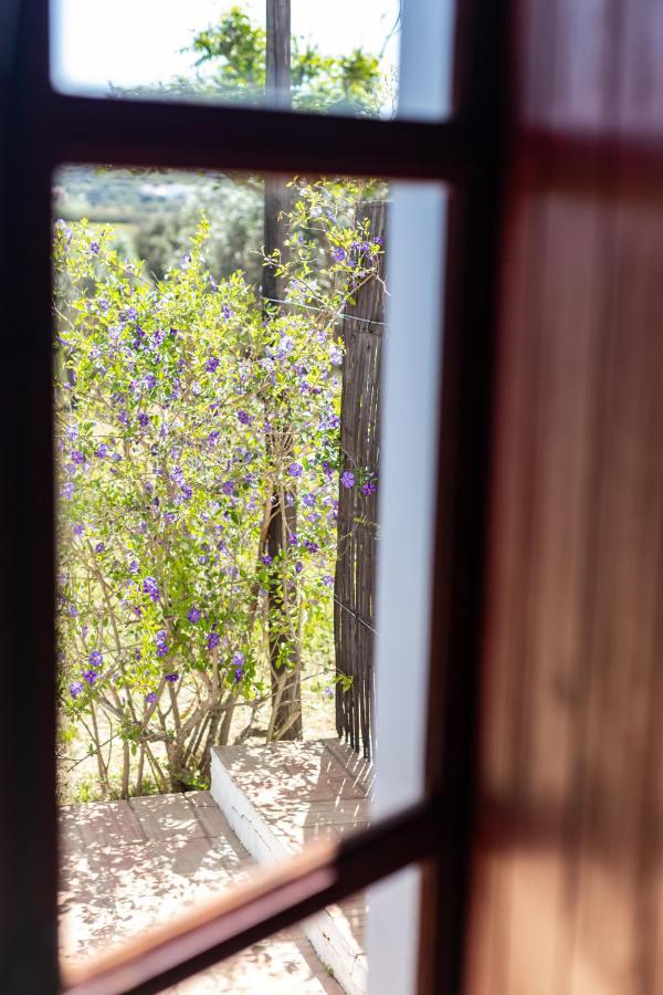 Casas Na Vinha - Monte Da Casteleja, Wine Estate - Eco Turismo Rural Lagos Extérieur photo